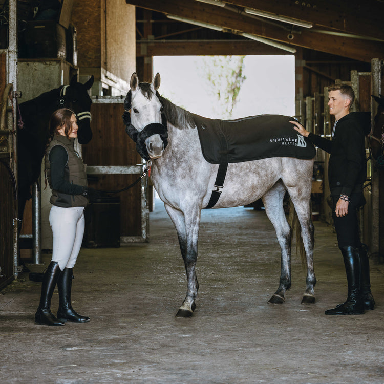 Therapy rug for horses muscles