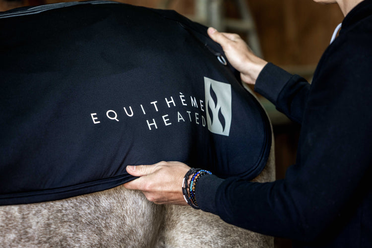 Horse wearing Equithème Heated Back Warmer therapy rug