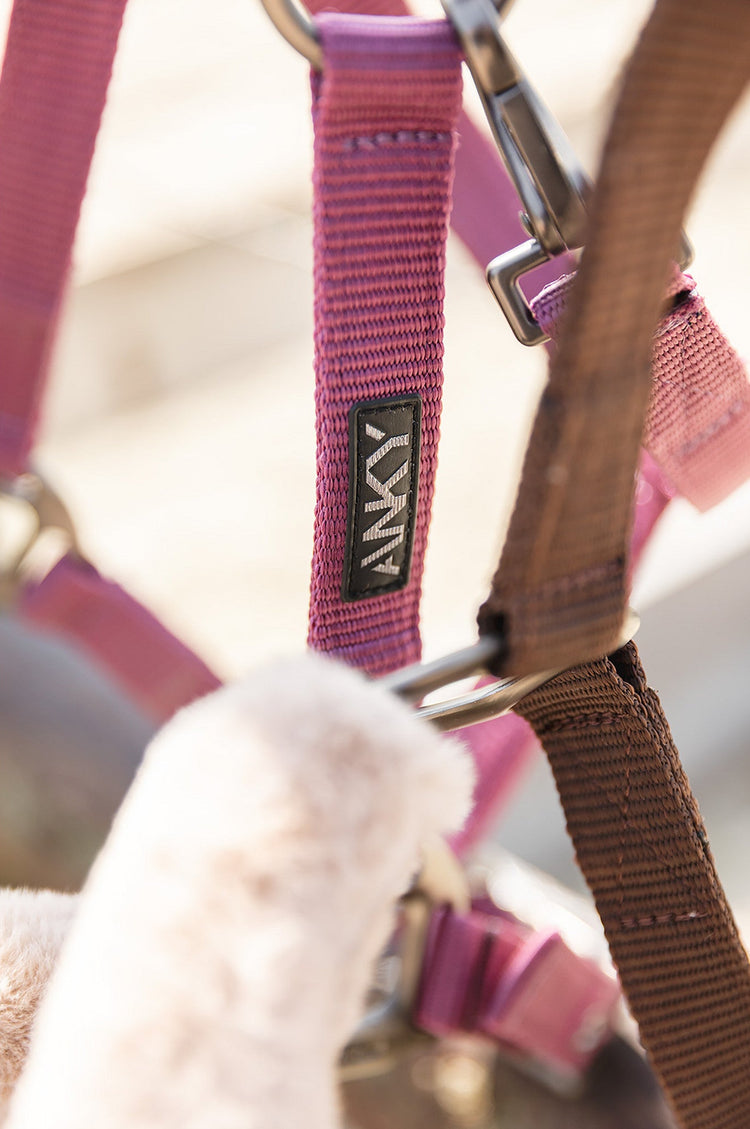 Pink Anky Head collar set