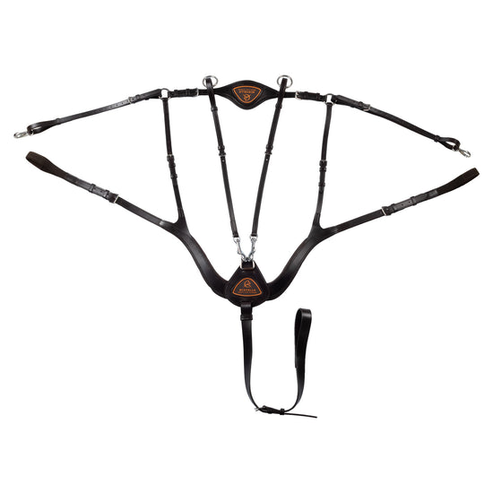 Brown 5 point breastplate
