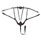 Brown 5 point breastplate