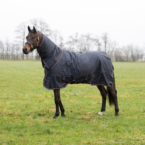 Lightweight turnout rug with neck