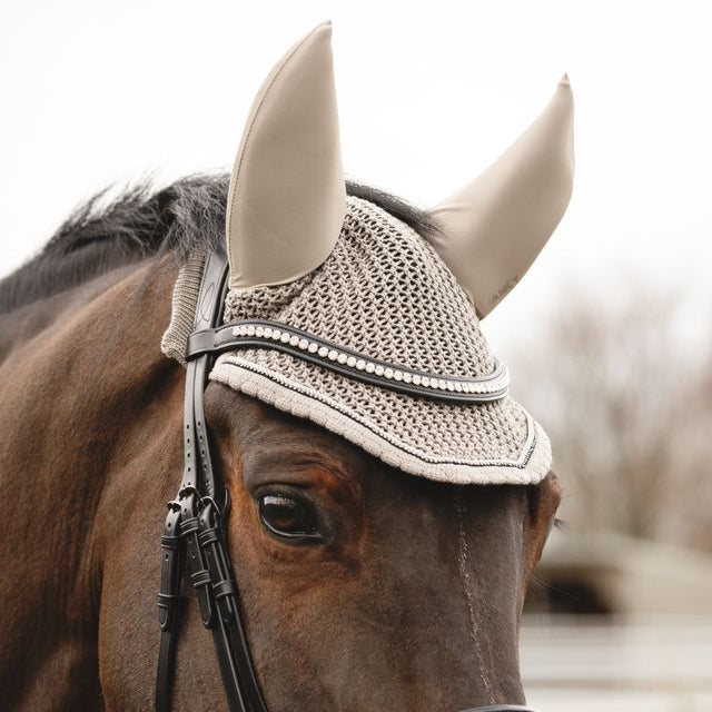 Horse wearing a beige fly bonnet