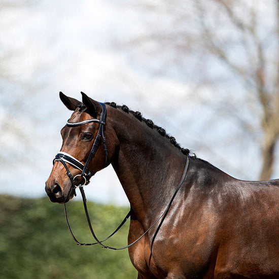 anatomical dressage bridle with white padding