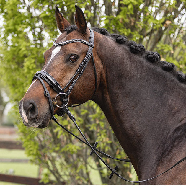 anky dressage bridle black rolled leather