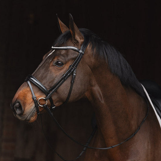 Bridle with glitter noseband