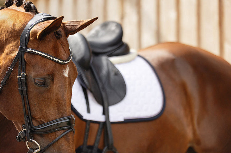 ANKY Comfort Fit Bridle Black