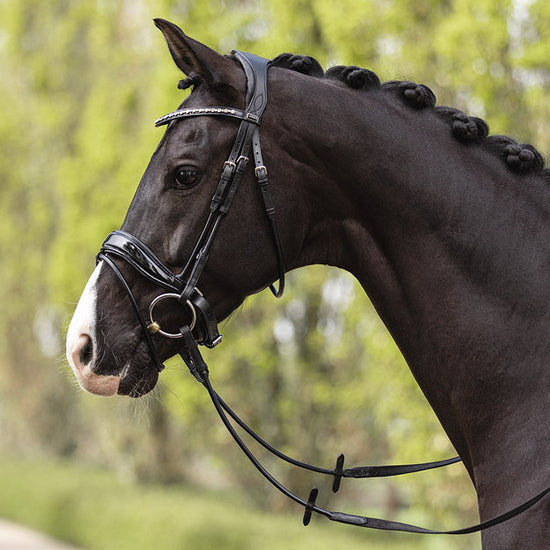 Anatomic Dressage bridle with patent noseband