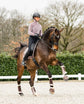 anky horse boots crystal rose