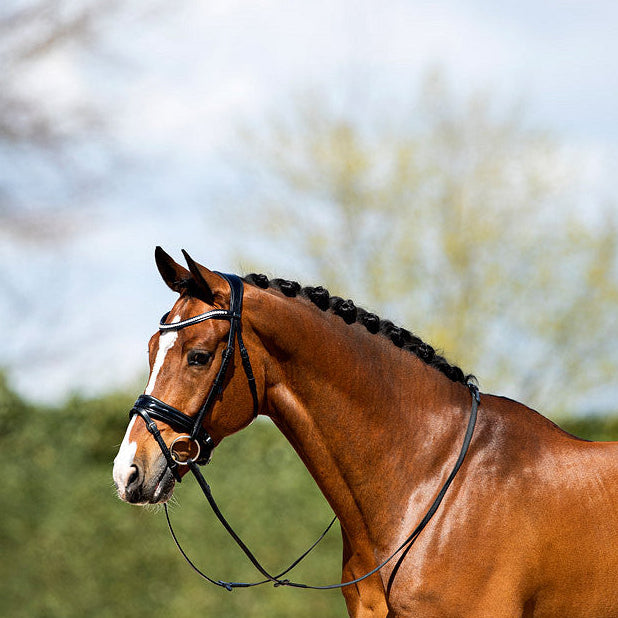 anky bridle black