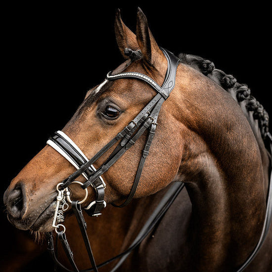 Anatomic double bridle with white padding
