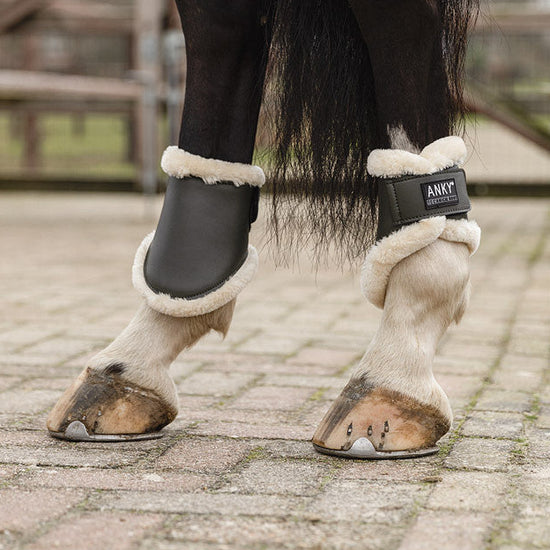 Anky Fetlock Boots