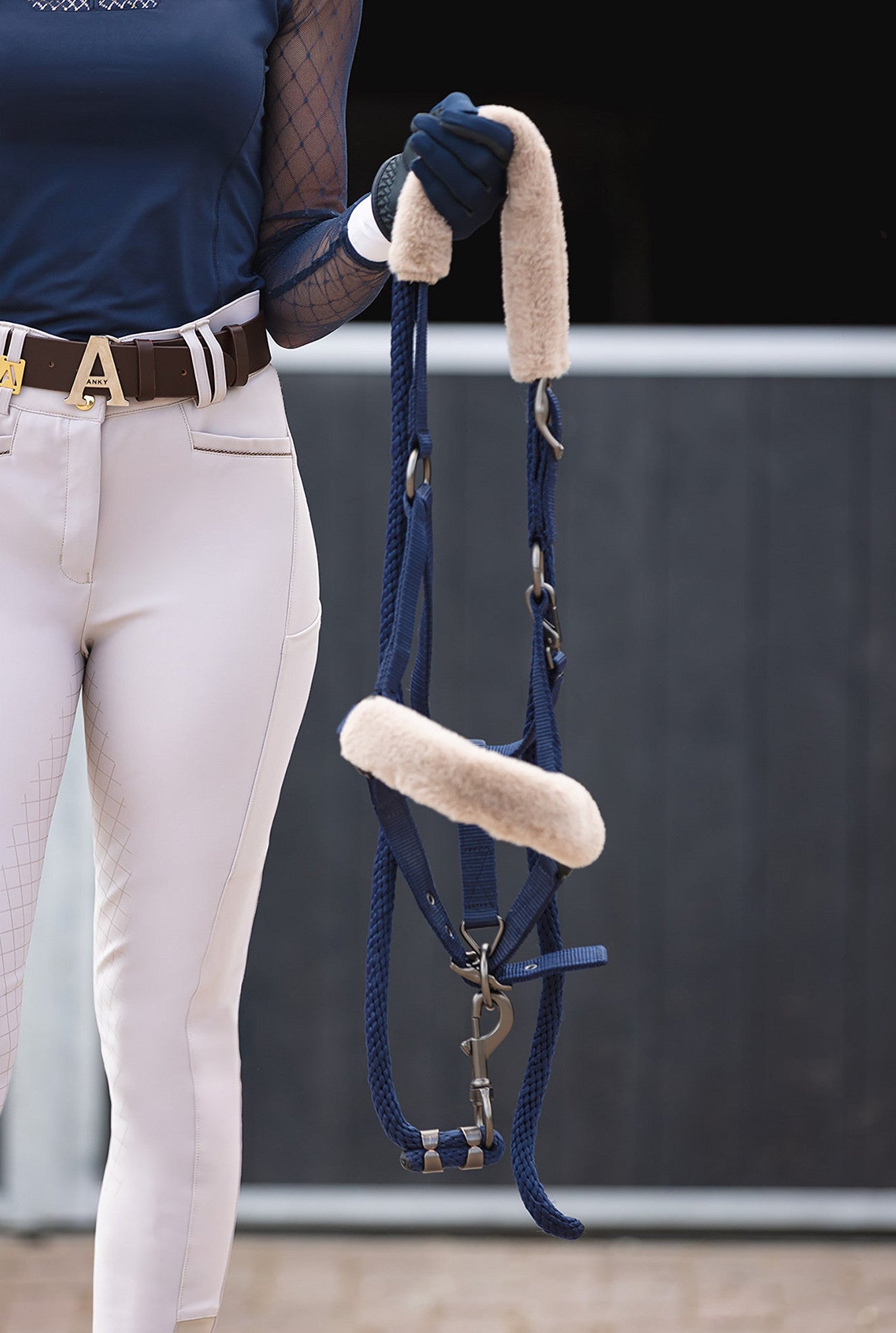 luxury halter for horses