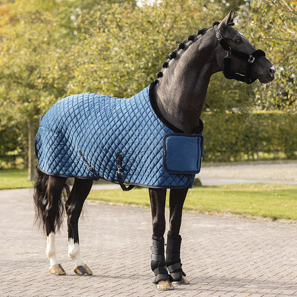 smart horse rug for shows