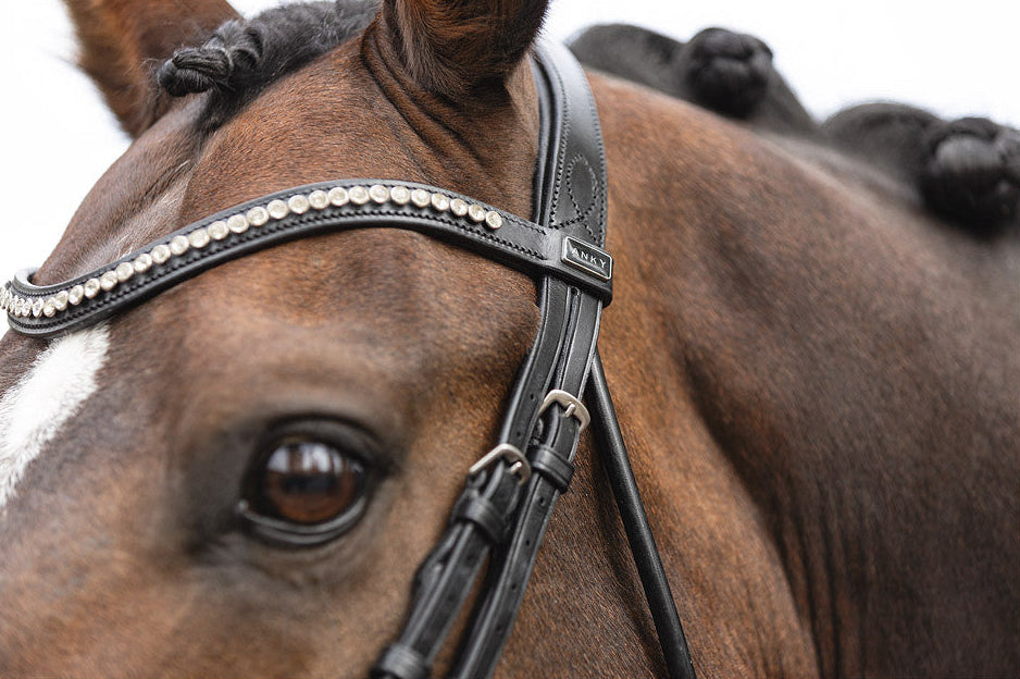 Close up ANKY browband