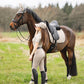 Woman in equestrian attire standing next to a horse in a field