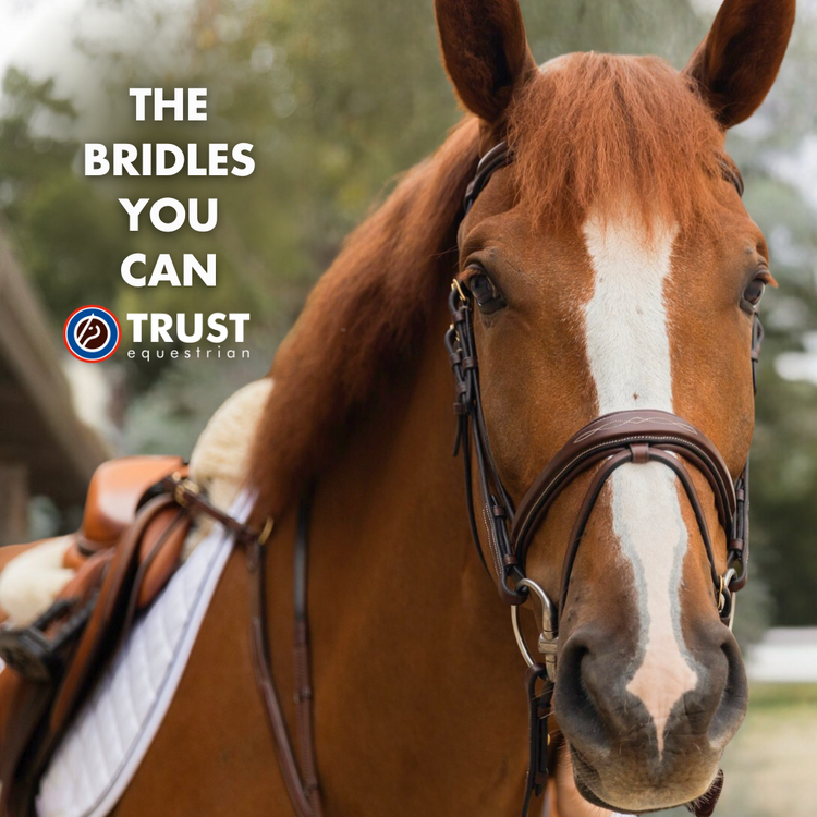 Trust equestrian leather bridles