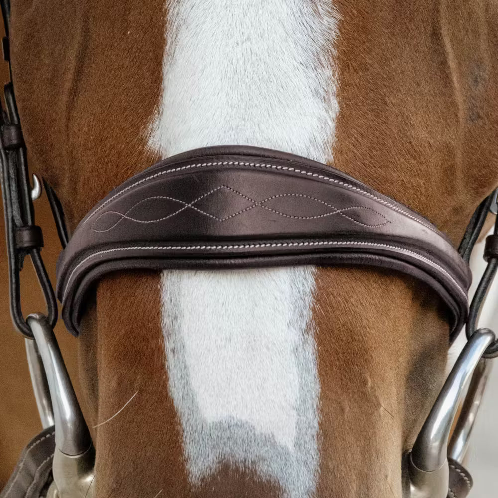 Versatility of the noseband which can be used In several different disciplines
