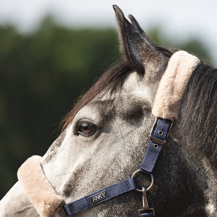 comfortable horse halter with lead rope