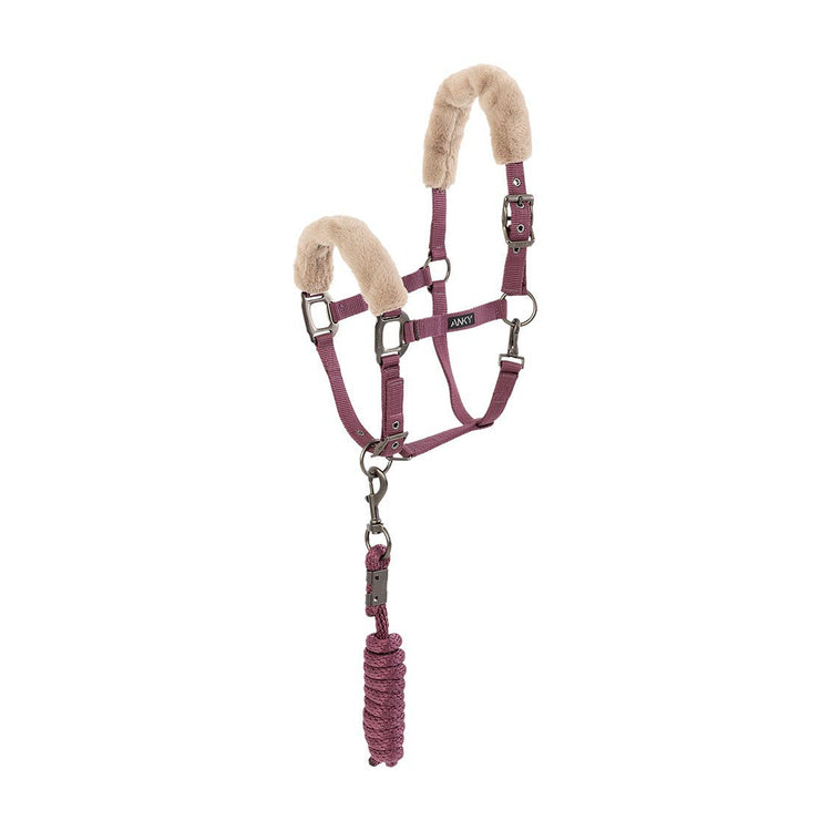 Pink Halter and lead rope