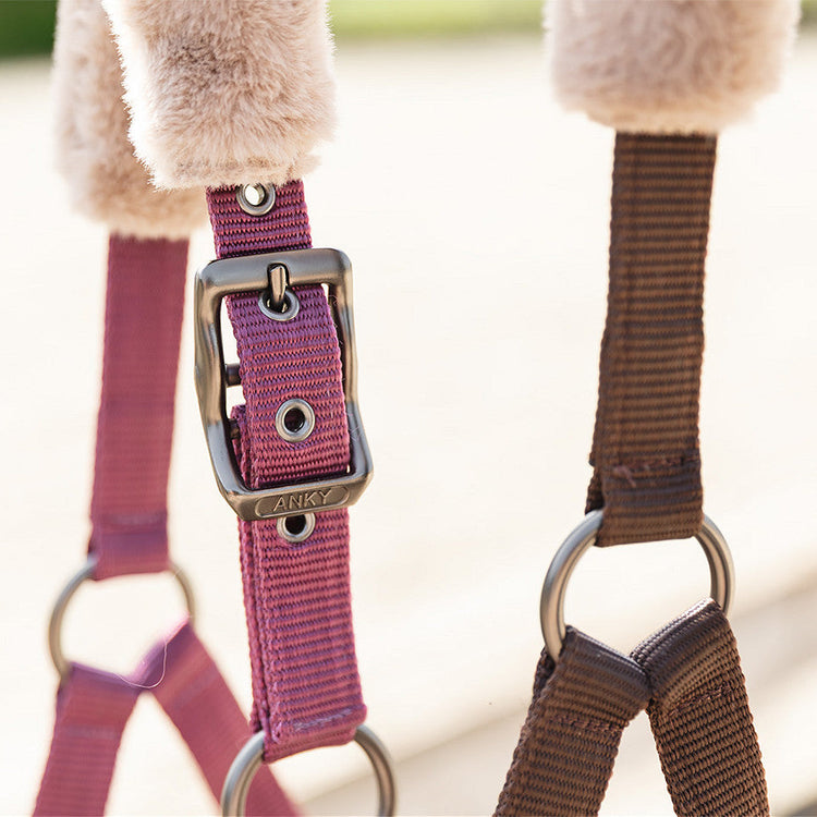 padded horse halter pink