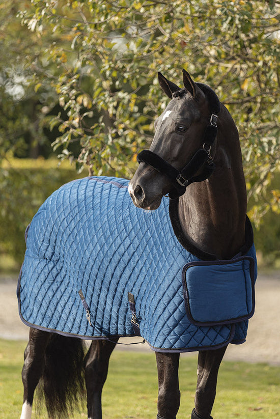 Navy Show ug Kentucky