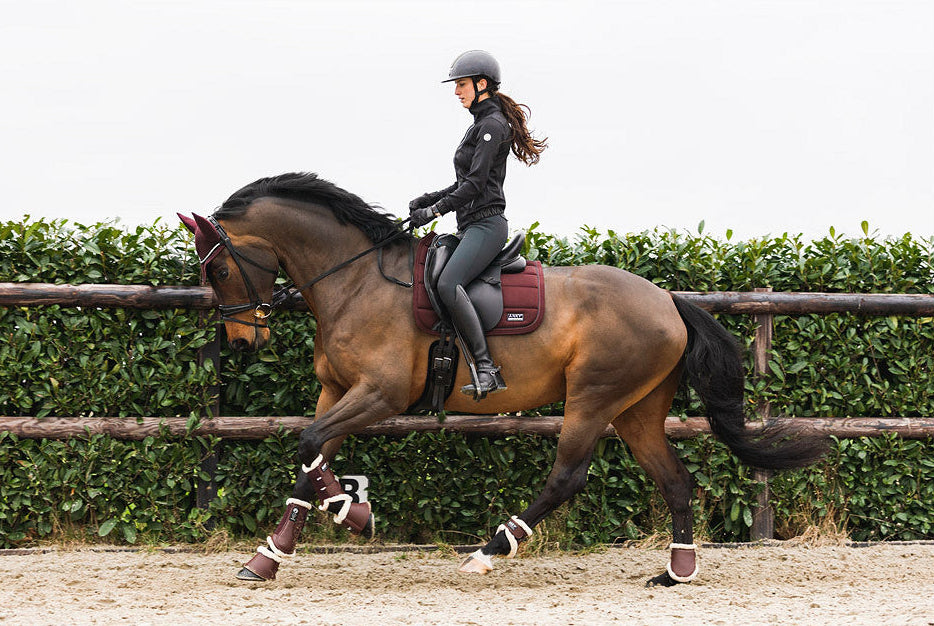 Bordeaux Anky Set