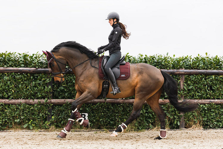 Bordeaux Anky Set