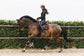 Bordeaux Anky Set