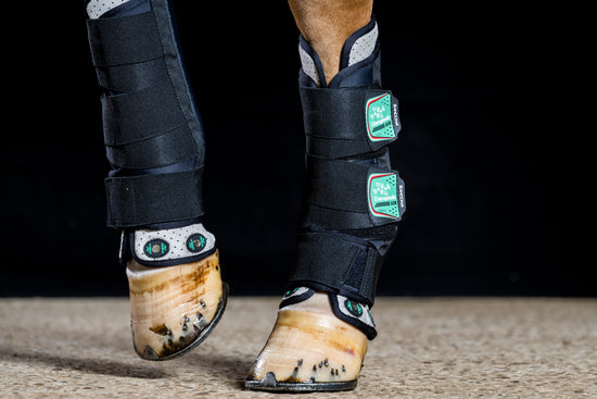 Magnetic Boots for horses