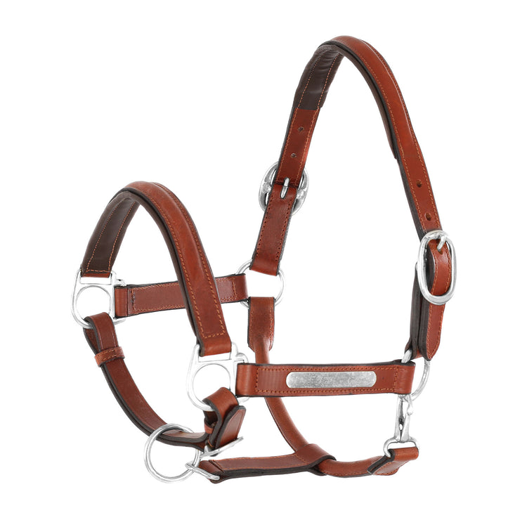 Popular Leather Sale Halter with Nameplate: Chicks Discount Saddlery