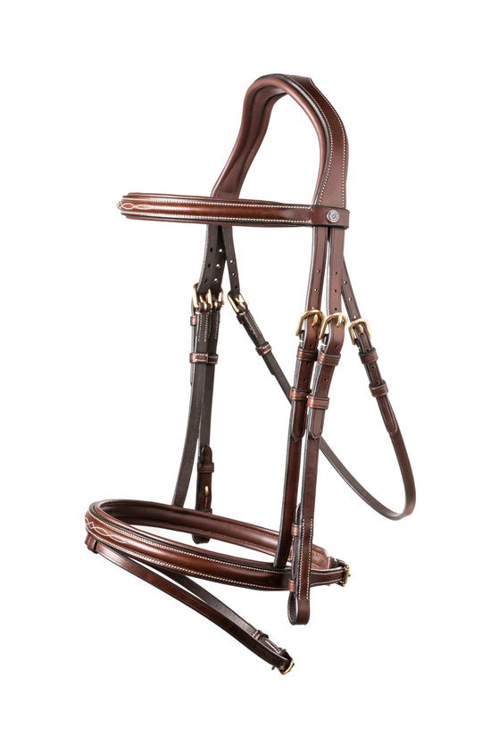 Fancy stitch bridle with brass fittings