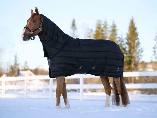 Best stable rug with detachable neck