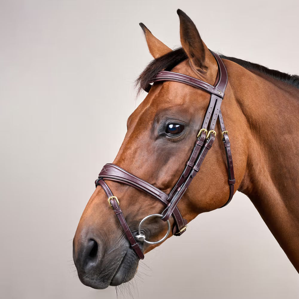    Broadened noseband and browband for a refined, premium look.