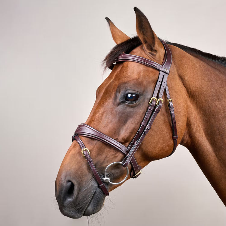    Broadened noseband and browband for a refined, premium look.