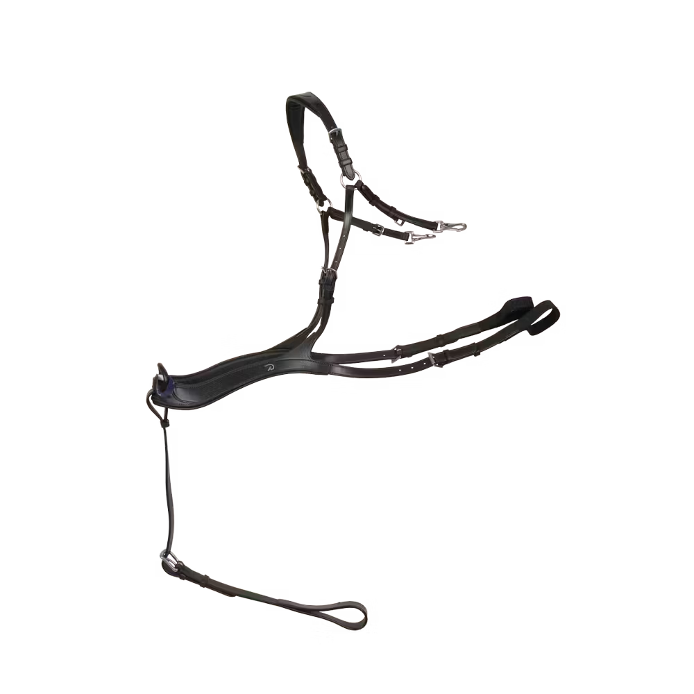 Dy&