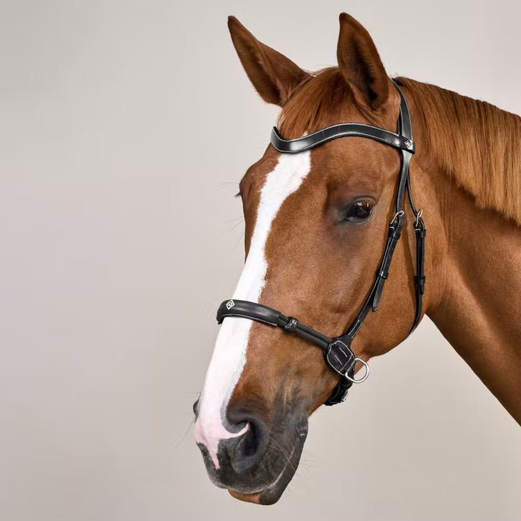 Noseband gives you precision while riding