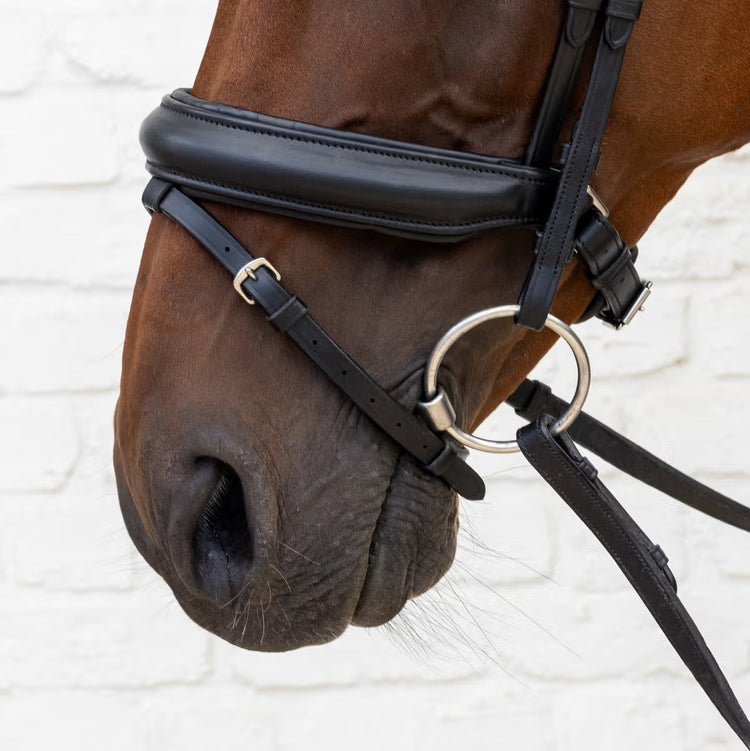 Soft leather bridle with modern browband design