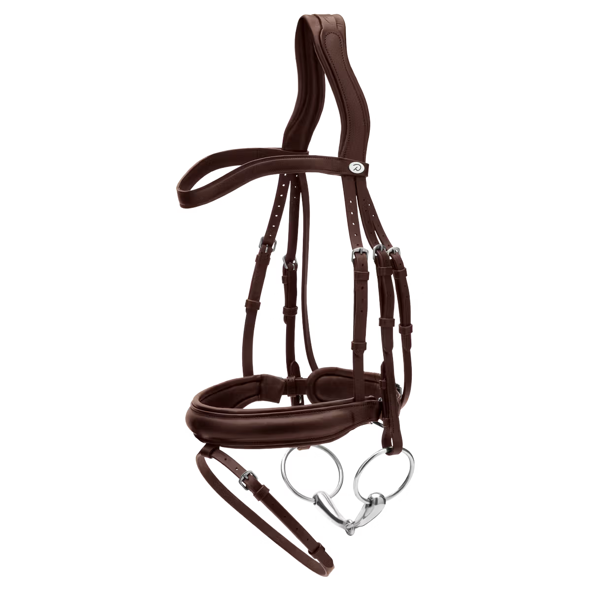 Horse wearing Dy&