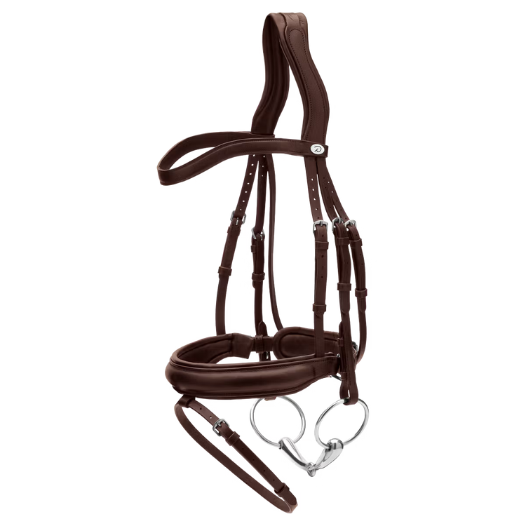 Horse wearing Dy&