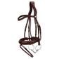 Horse wearing Dy&