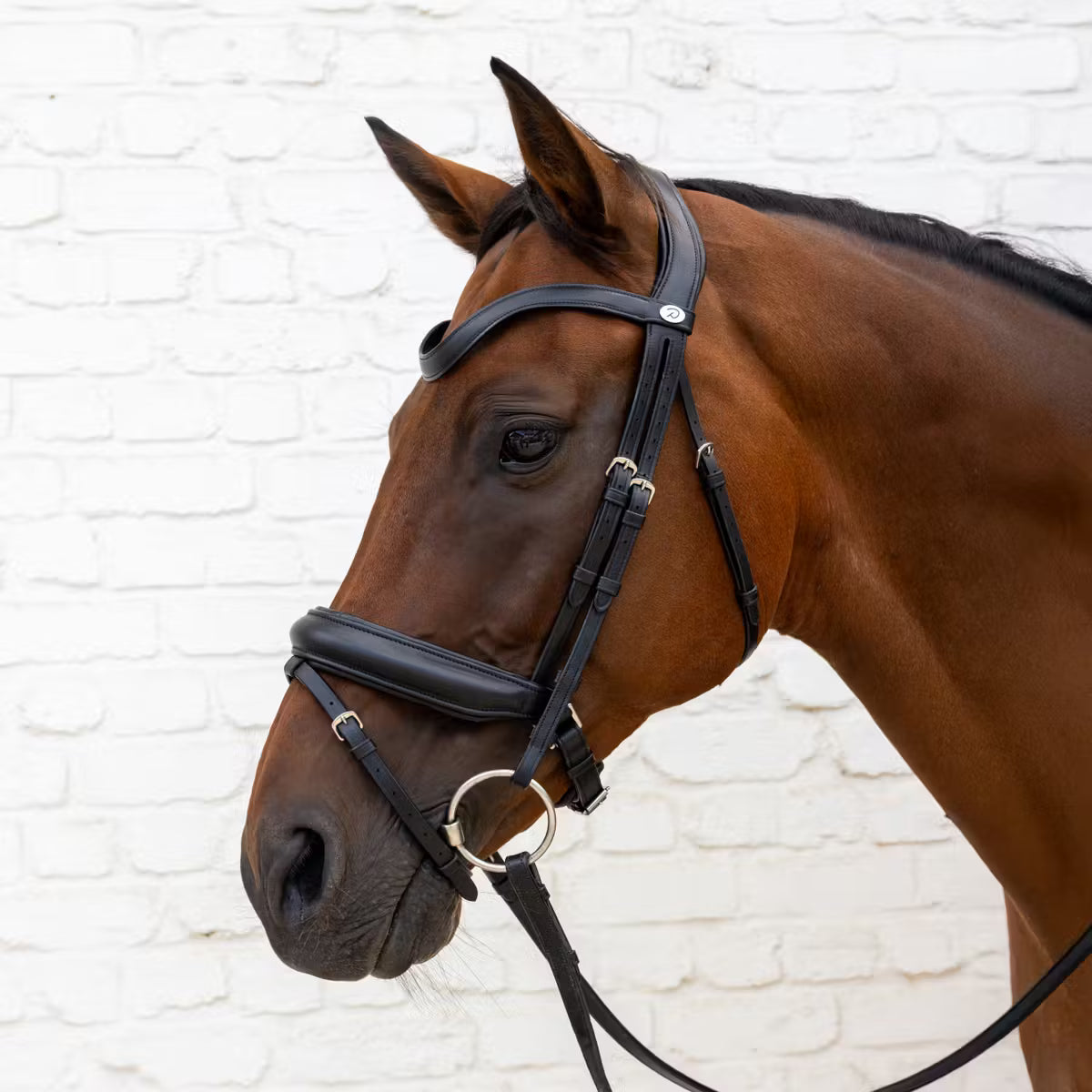 Anatomical horse bridle with soft leather