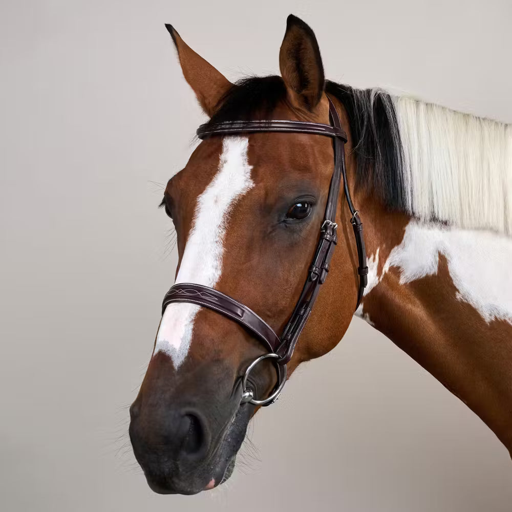 unpadded browband provides a sleek, traditional finish suited to the hunter discipline