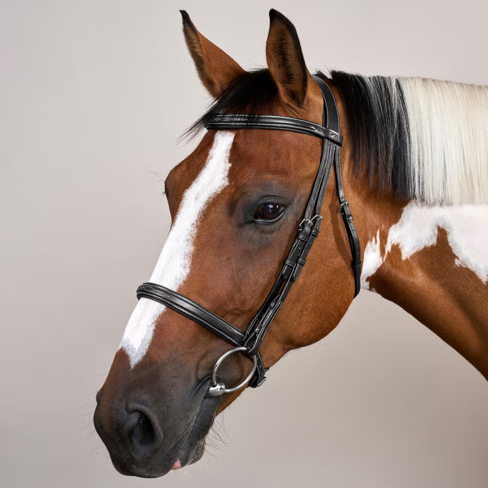 Cavesson noseband for gentle control and classic style