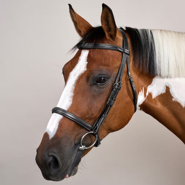 Cavesson noseband for gentle control and classic style