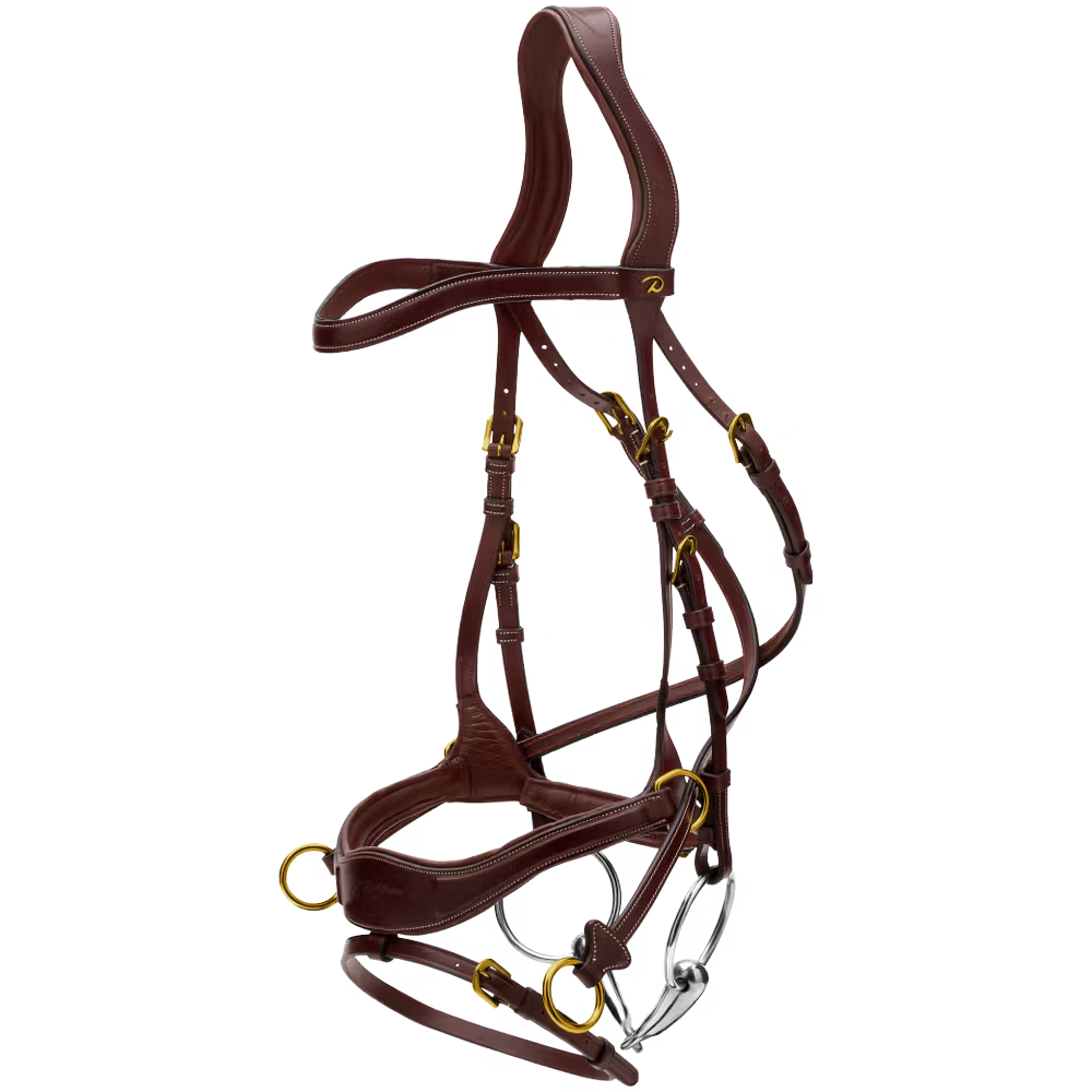 two D-buckles 