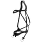 Dy&
