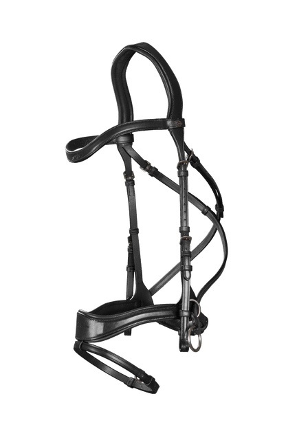 Side pull bridle with bit