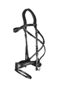 Side pull bridle with bit
