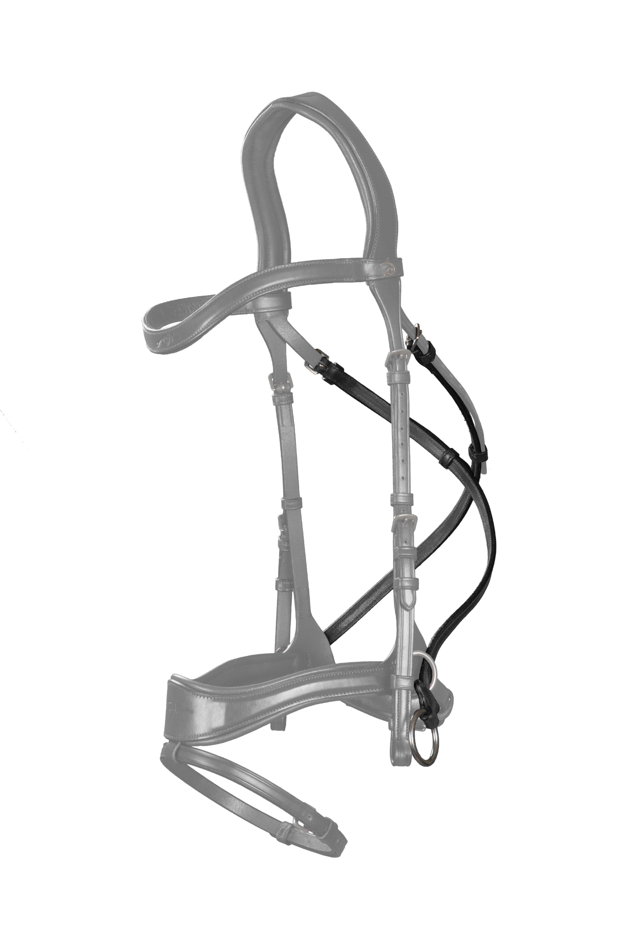 D motion bridle